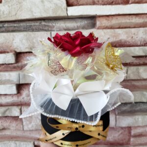 Caja de mariposas premium