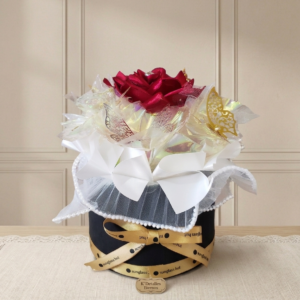 Caja de mariposas premium